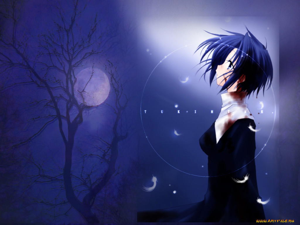 , tsukihime